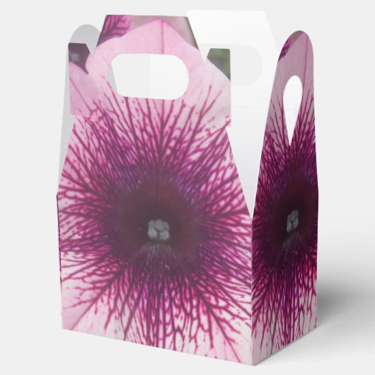 Kisses Bedankdoosjes (Geopend)