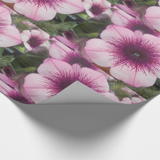 Kisses Cadeaupapier (Hoek)