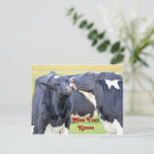 Kisses Cute koe Briefkaart (Staand voorkant)