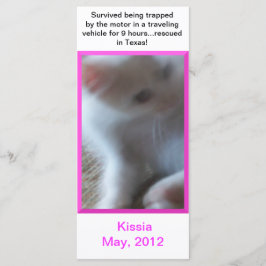 Kissia (Little Girl Kat)-rackkaart of -Bladwijzer