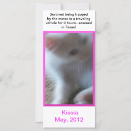 Kissia (Little Girl Kat)-rackkaart of -Bladwijzer