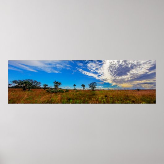Kissimmee prairie preserve state park, Florida Poster (Voorkant)