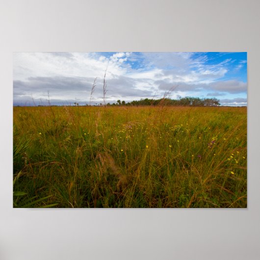 Kissimmee Prairie Preserve State Park, Florida Poster (Voorkant)