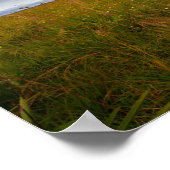 Kissimmee Prairie Preserve State Park, Florida Poster (Hoek)