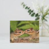 Kissing Baby Chipmunks Briefkaart (Staand voorkant)