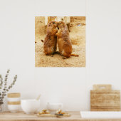 Kissing Black Tailed Prairie Dogs Poster (Keuken)