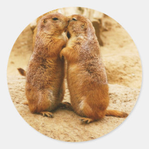 Kissing Black Tailed Prairie Dogs Ronde Sticker