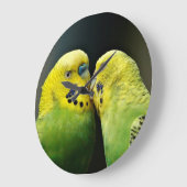 Kissing Budgie Parrot Bird Grote Klok (Hoek)