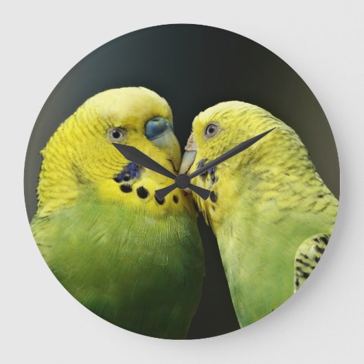 Kissing Budgie Parrot Bird Grote Klok (Voorkant)