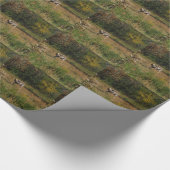 Kissing Butt Donkey Cadeaupapier (Hoek)