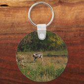 Kissing Butt Donkey Sleutelhanger (Voorkant)