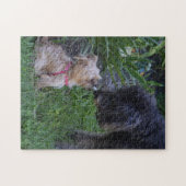 Kissing Dogs Puppy Love Legpuzzel (Horizontaal)