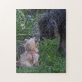 Kissing Dogs Puppy Love Legpuzzel (Verticaal)
