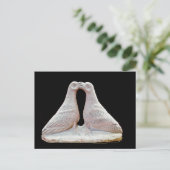 Kissing doves beeldje bij Cyprus Museum Briefkaart (Staand voorkant)