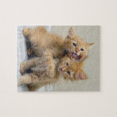 Kissing en Hugging Kittens Legpuzzel (Horizontaal)