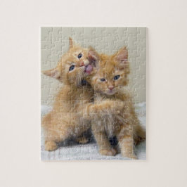 Kissing en Hugging Kittens Legpuzzel