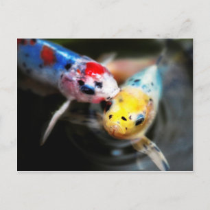 Kissing fish briefkaart