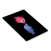 "Kissing Fish" Kunst van Mike Quinn Magneet (Rechterzijde)