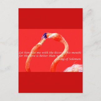 Kissing Flamingos Briefkaart