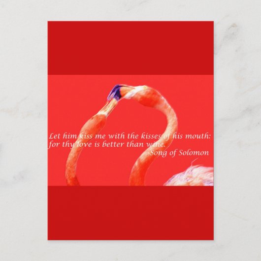 Kissing Flamingos Briefkaart (Voorkant)
