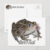 Kissing Frog - Pucker Up, schat! Briefkaart (Voorkant / Achterkant)