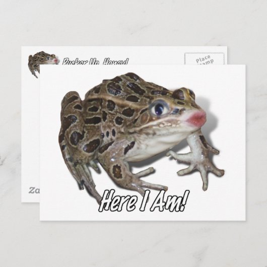 Kissing Frog - Pucker Up, schat! Briefkaart (Voorkant / Achterkant)