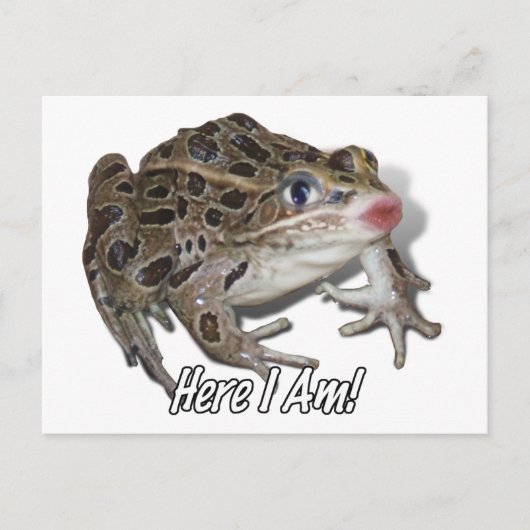 Kissing Frog - Pucker Up, schat! Briefkaart (Voorkant)