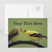 Kissing Goldfinches Briefkaart (Voorkant / Achterkant)