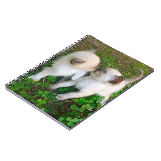 kissing kittens in clover notitieboek (Linkerzijde)