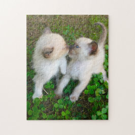 kissing kittens legpuzzel