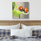 Kissing Ladybugs Canvas Afdruk (Insitu (Slaapkamer))