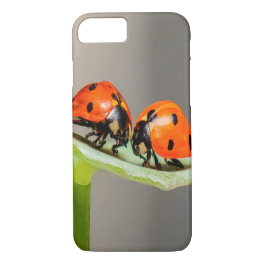 Kissing Ladybugs Case-Mate iPhone Case (Achterkant)