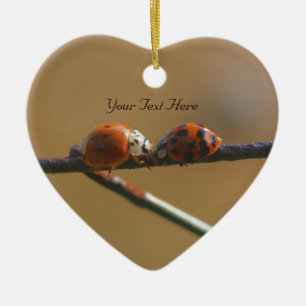 Kissing Ladybugs Cute Natuur Ornament