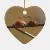 Kissing Ladybugs Cute Natuur Ornament (Achterkant)