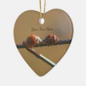 Kissing Ladybugs Cute Natuur Ornament (Links)