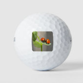 Kissing Ladybugs Golfballen (Voorkant)