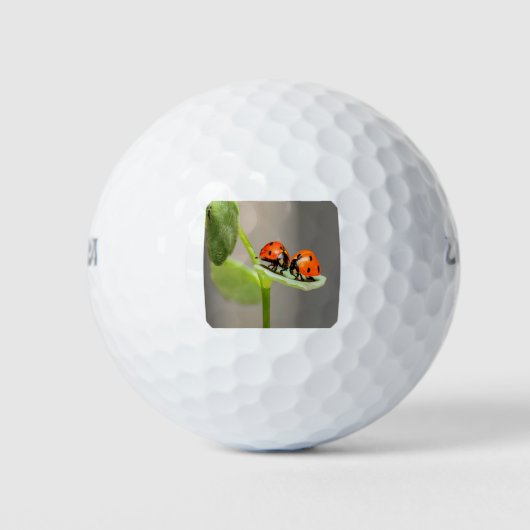 Kissing Ladybugs Golfballen (Voorkant)
