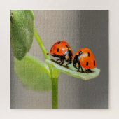 Kissing Ladybugs Legpuzzel (Verticaal)