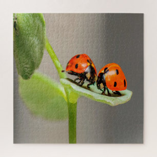 Kissing Ladybugs Legpuzzel