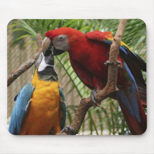 Kissing Macaws Muismat (Voorkant)