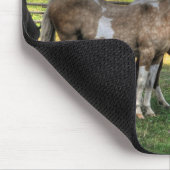 Kissing Pinto Stallion & Sorrel Mare Equine Foto Muismat (Hoek)