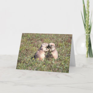 Kissing Prairie Dogs Kaart