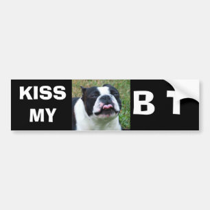 KISSMY, B T BUMPERSTICKER