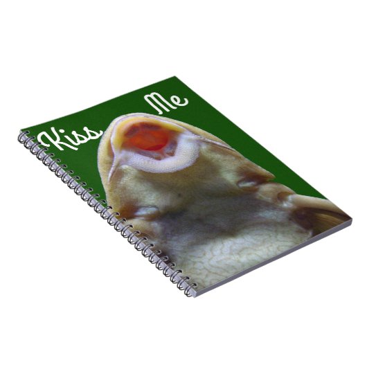 Kissvis Notitieboek (Rechterzijde)