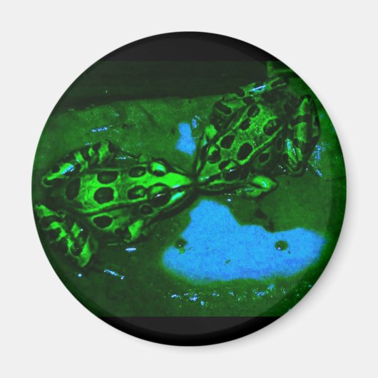 Kissy Frogs Magneet (Voorkant)