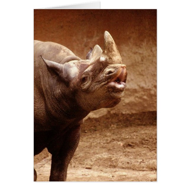 Kissy Kissy (Voorkant)