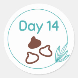 Kit 14 voor chocolade-gebit ronde sticker