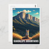 Kit Fox in het Guadalupe Mountains National Park Briefkaart (Voorkant / Achterkant)