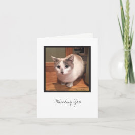 Kit Kit Collectie #1 Kaart