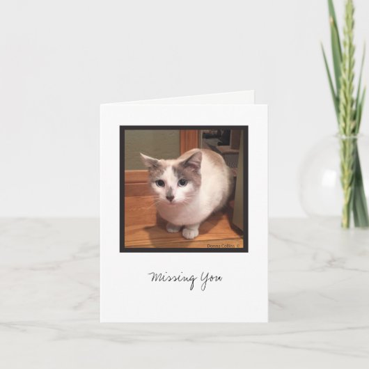 Kit Kit Collectie #1 Kaart (Voorkant)